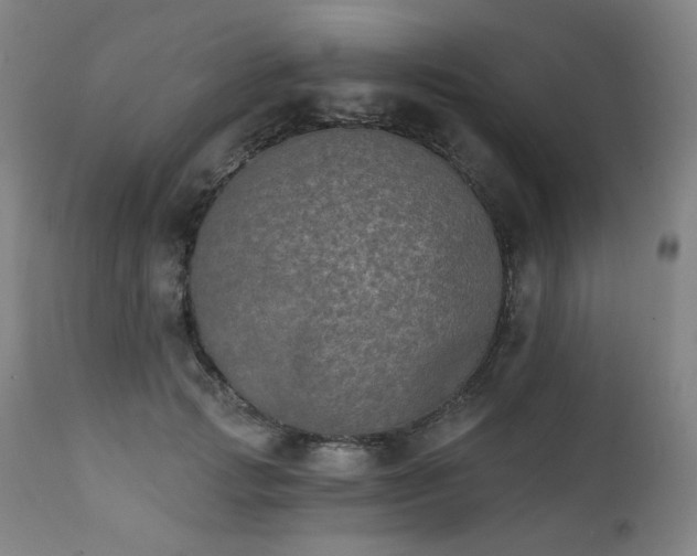 X0000111220749200907091311