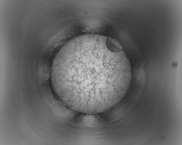 X0000111220751200907091311
