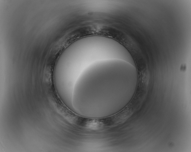 X0000111220754200907091311