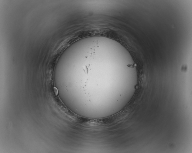 X0000111220756200907091311