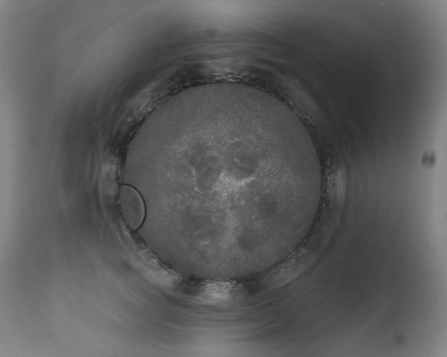 X0000111220757200907091311