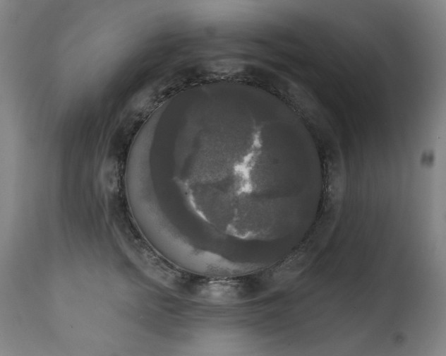 X0000111220758200907091311