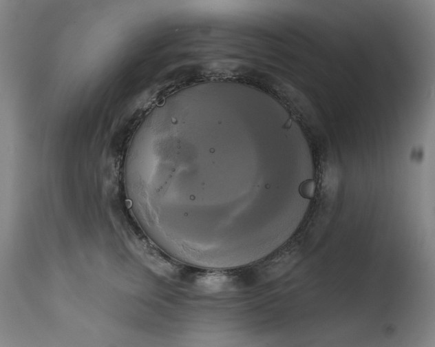 X0000111220759200907091311