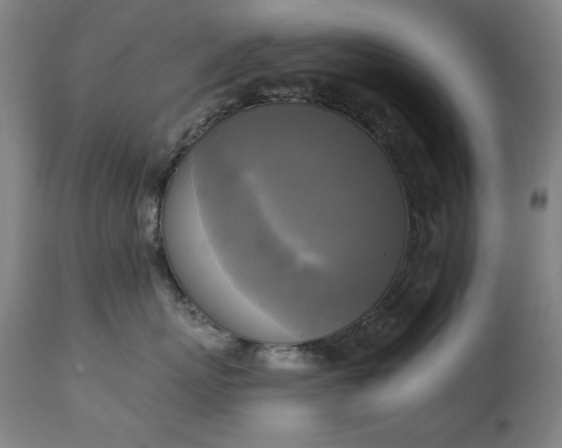 X0000111220767200907091311