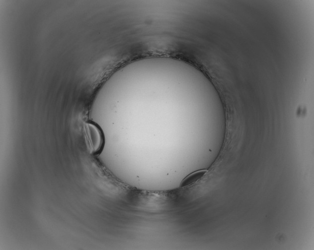 X0000111220768200907091311