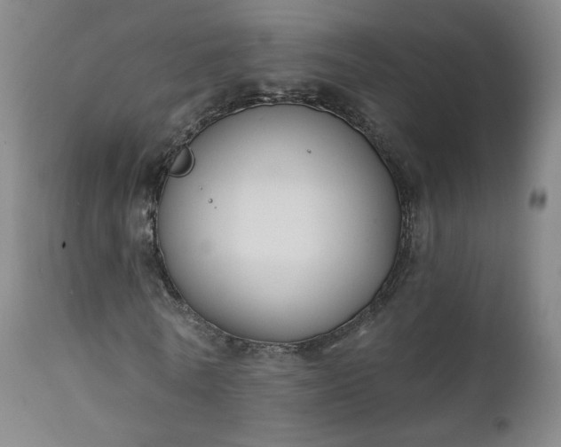 X0000111220770200907091311