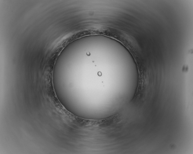 X0000111220773200907091311