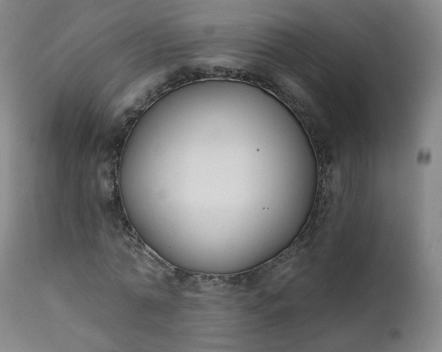 X0000111220774200907091311