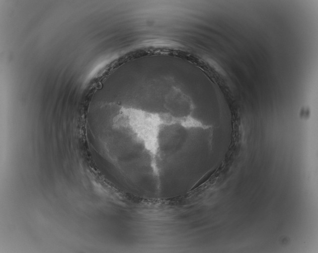 X0000111220775200907091311
