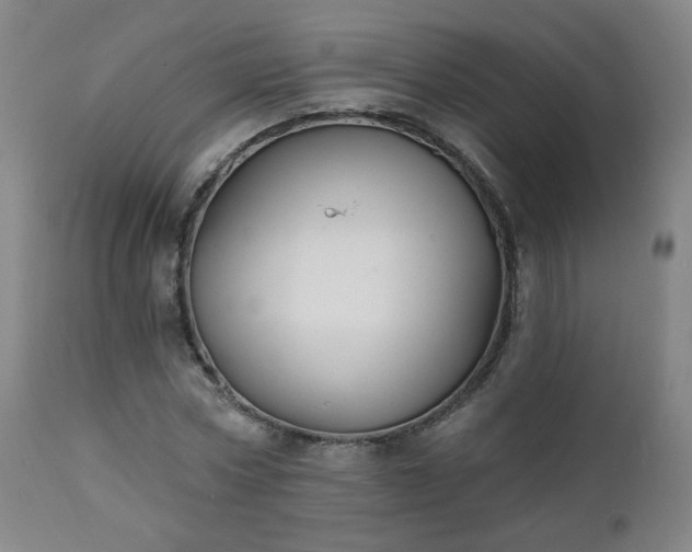 X0000111220778200907091311