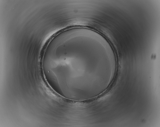 X0000111220779200907091311