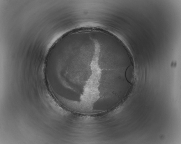 X0000111220783200907091311