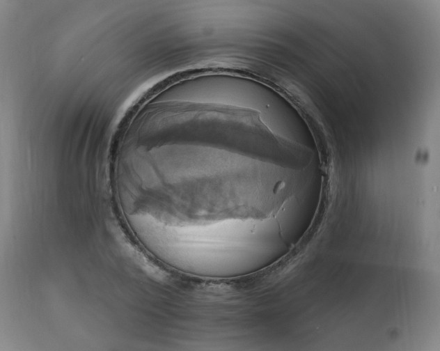 X0000111220784200907091311