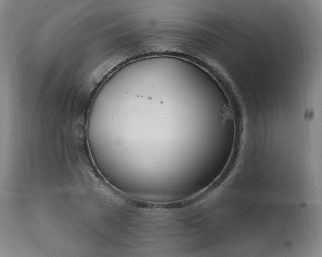X0000111220785200907091311