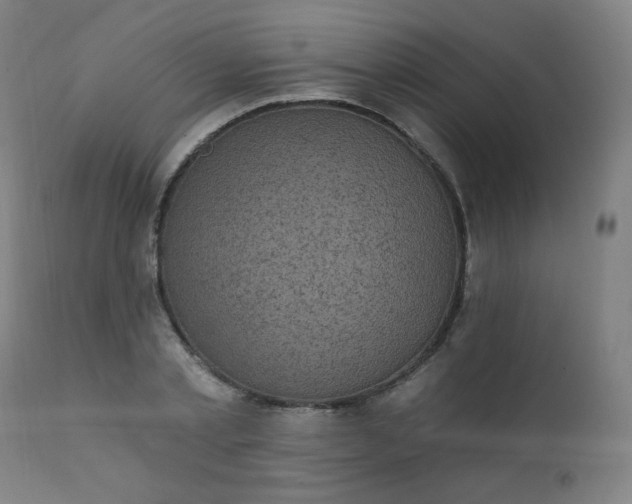 X0000111220789200907091311