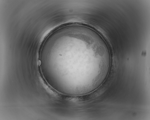 X0000111220791200907091310