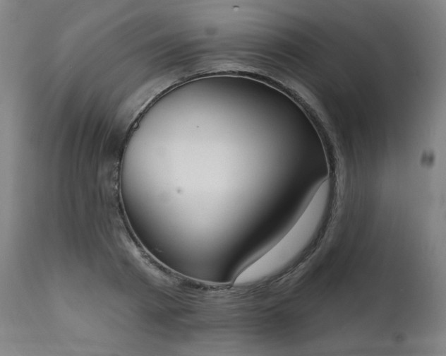 X0000111220793200907091310