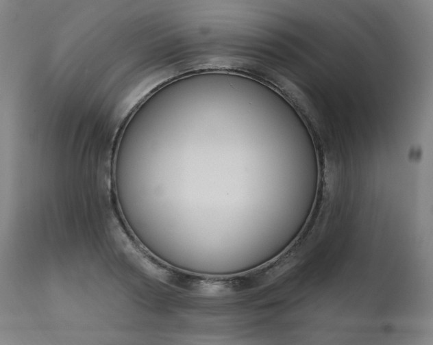 X0000111220794200907091310