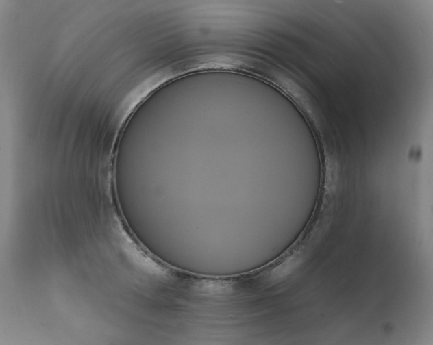 X0000111220802200907091310
