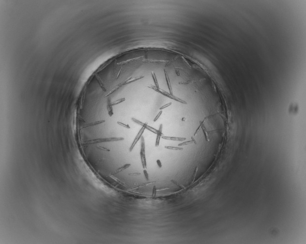 X0000111220804200907091310