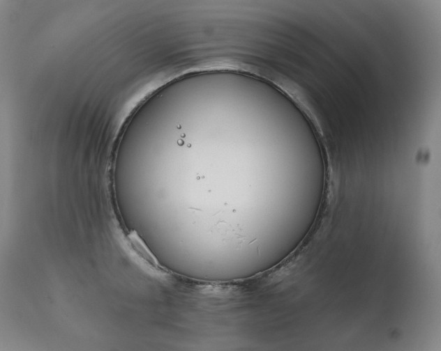 X0000111220805200907091310