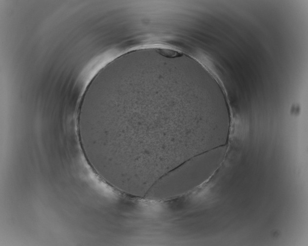 X0000111220813200907091310