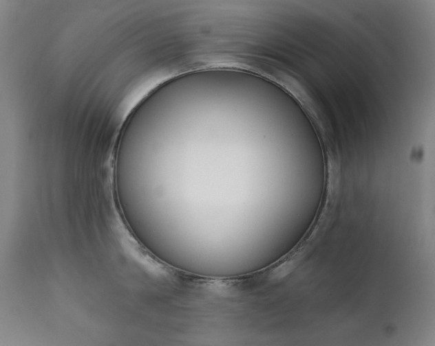 X0000111220814200907091310