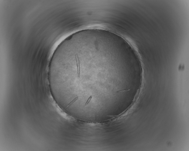 X0000111220816200907091310