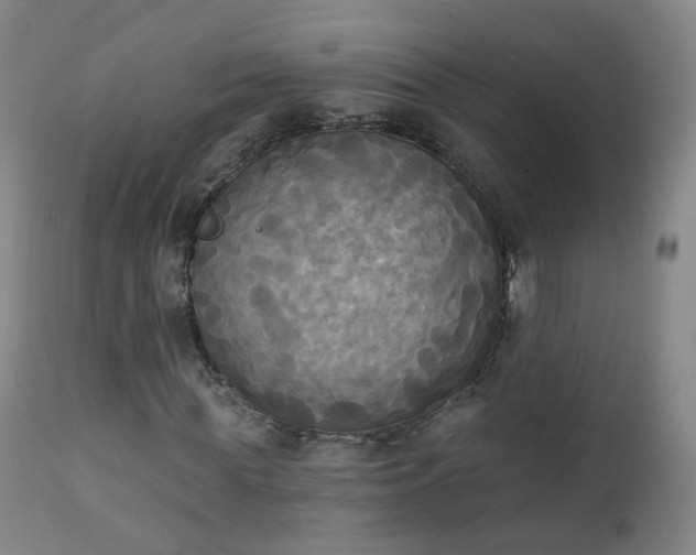 X0000111220819200907091309