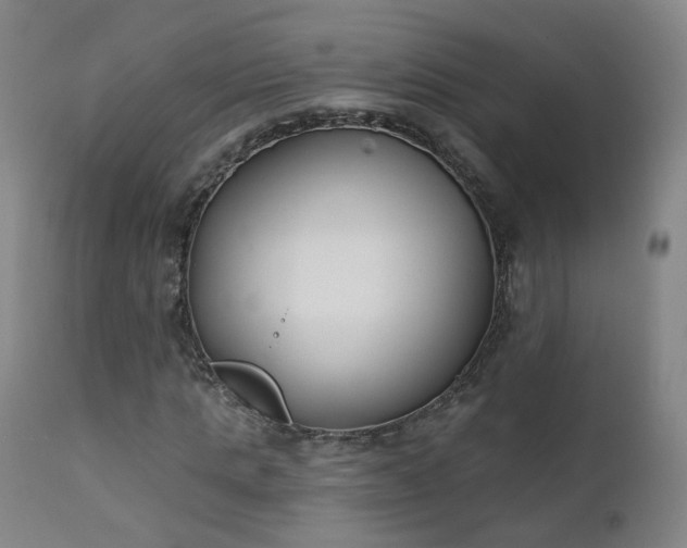 X0000111220821200907091309