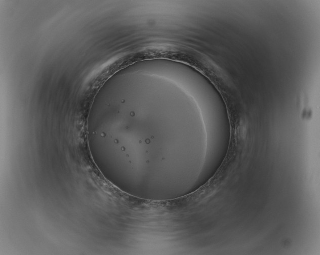 X0000111220822200907091309