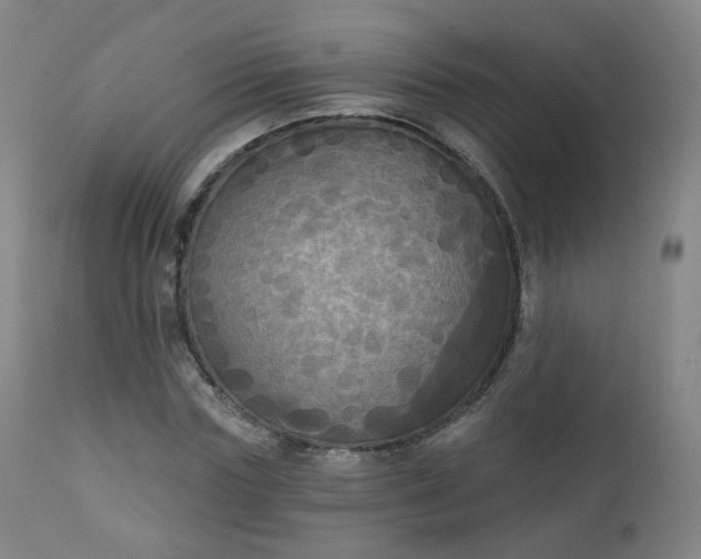 X0000111220827200907091309