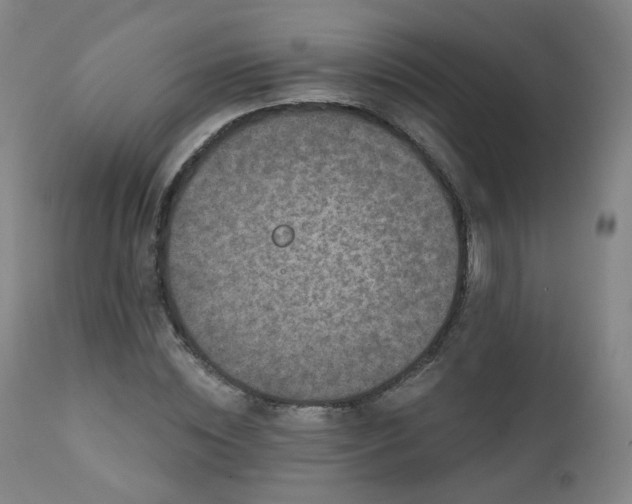 X0000111220828200907091309