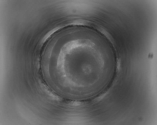 X0000111220829200907091309