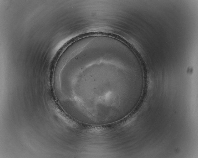 X0000111220830200907091309