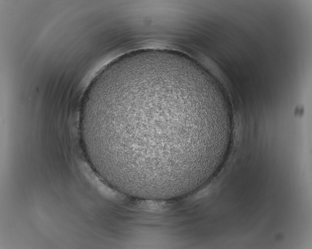X0000111220831200907091310