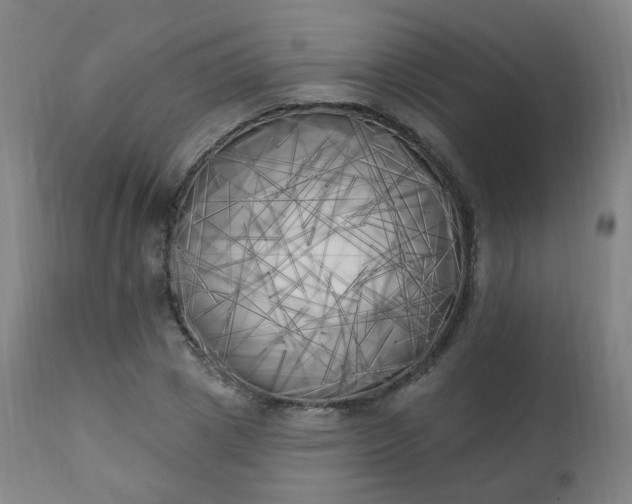 X0000111220833200907091310
