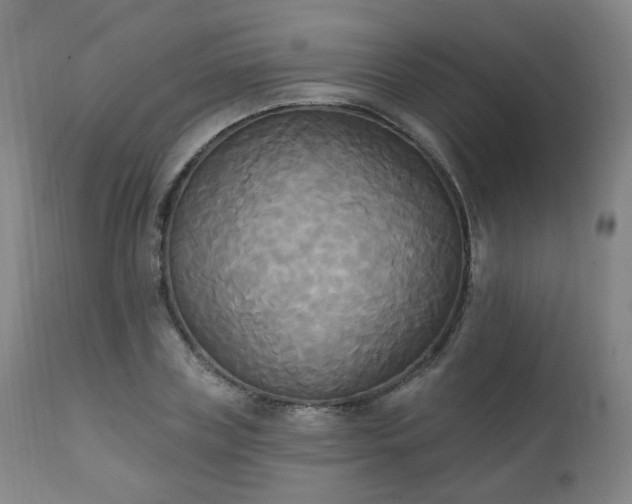 X0000111220835200907091310