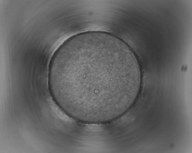 X0000111220836200907091310