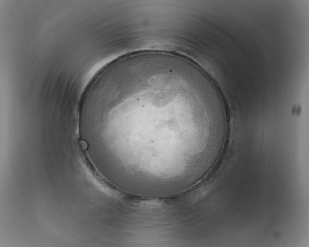 X0000111220838200907091310