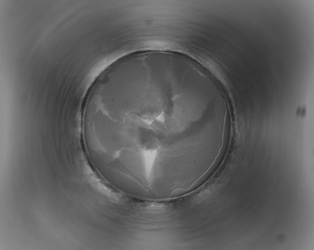X0000111220839200907091310