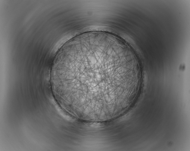 X0000111220841200907091310