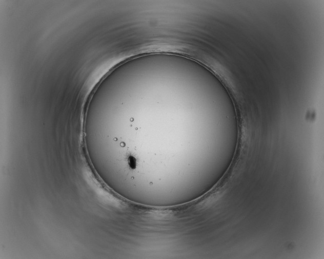 X0000111220844200907091310