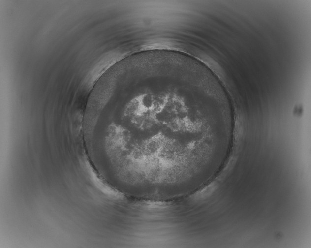 X0000111220849200907091310