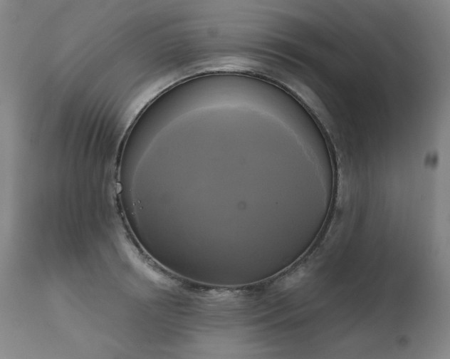 X0000111220850200907091310