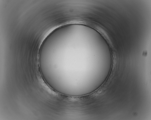 X0000111220852200907091310