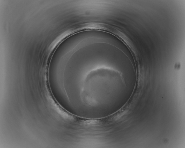 X0000111220853200907091310