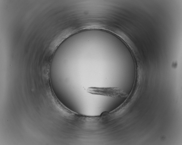X0000111220857200907091310