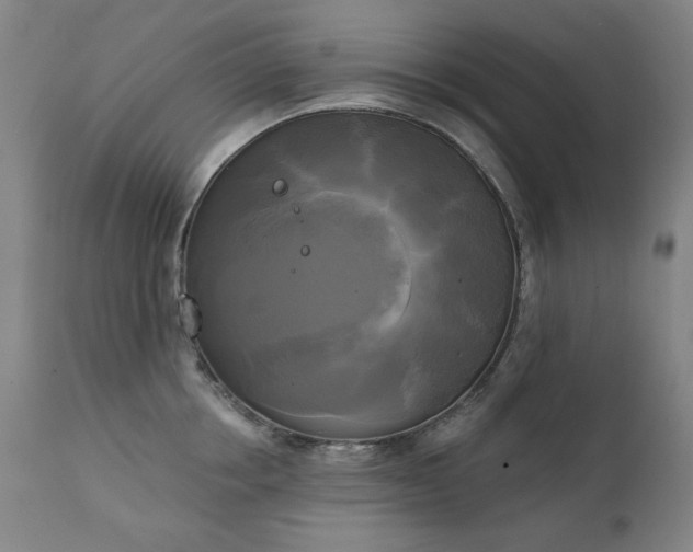 X0000111220858200907091310
