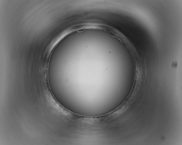 X0000111220860200907091310